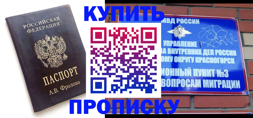 прописка поиск в Ясном